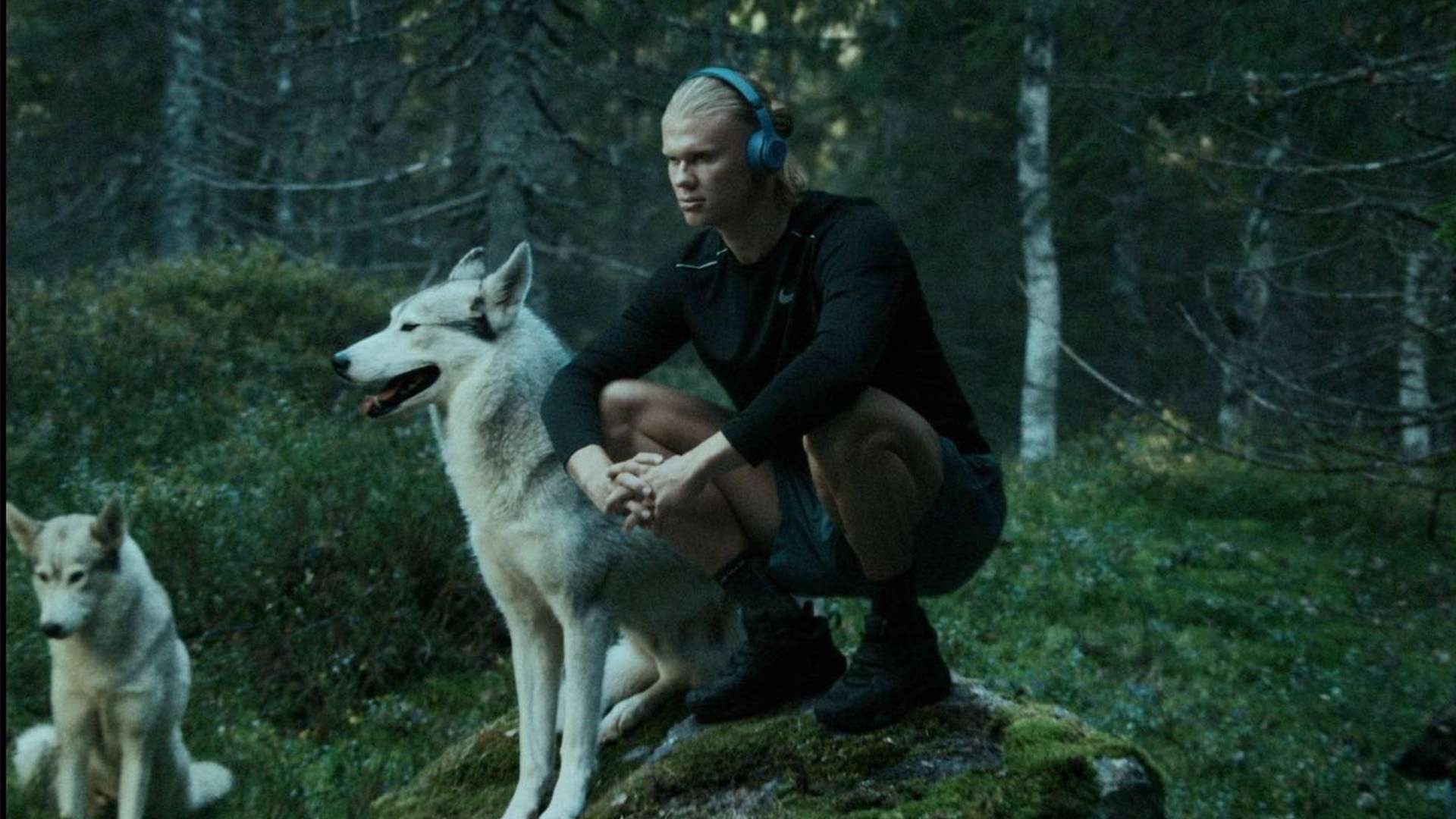 精神层面的 精神层面的