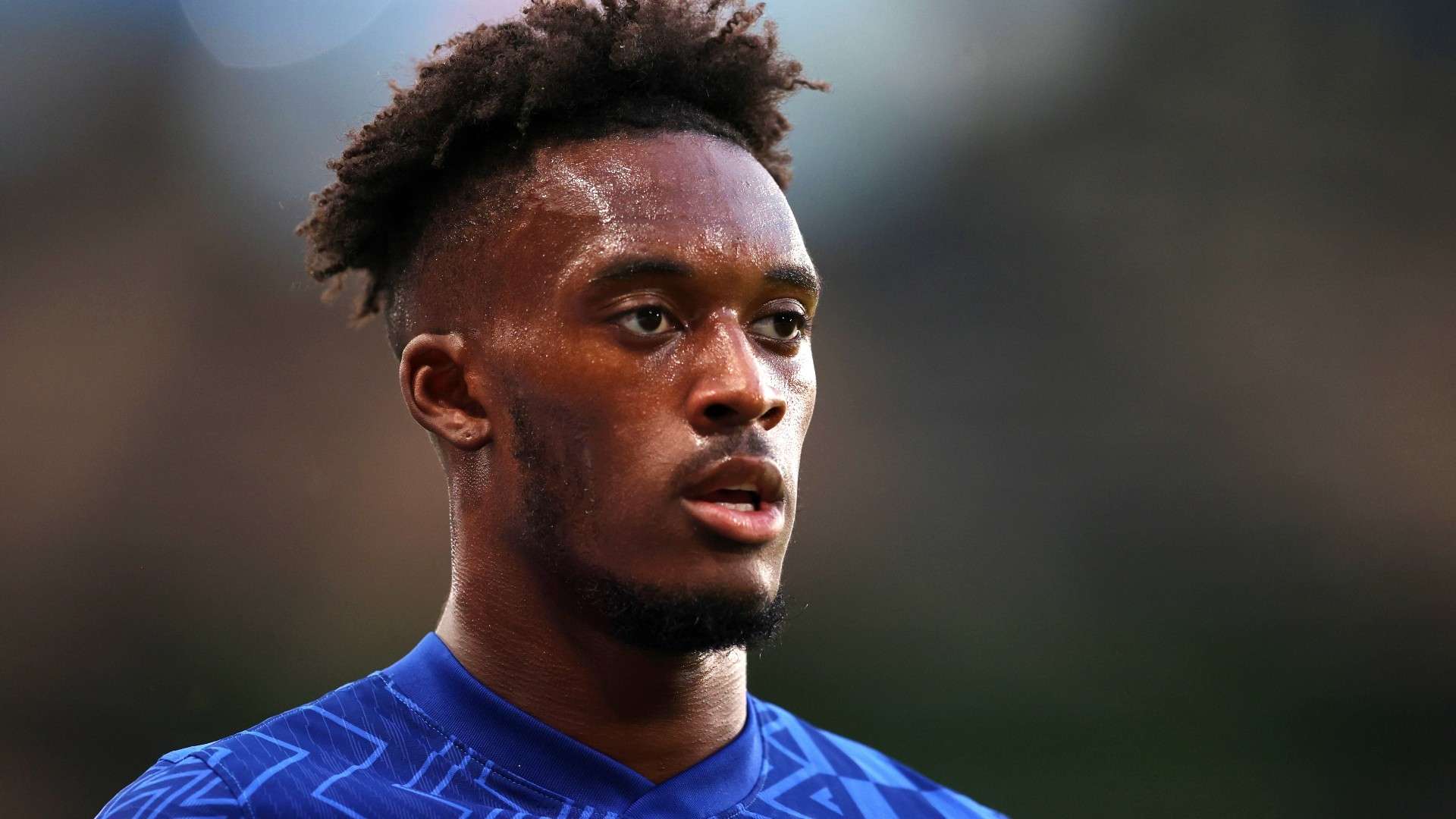 球迷们走上 球迷们走上